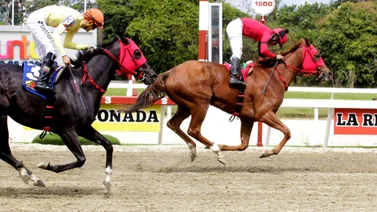 Conoce el mejor ajuste de la sorpresa de Gaceta Hípica para triunfar en el 5y6 dominical de La Rinconada