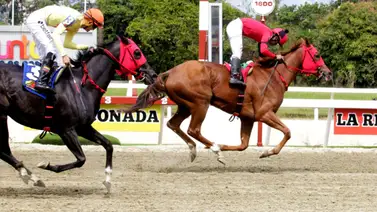 Conoce el mejor ajuste de la sorpresa de Gaceta Hípica para triunfar en el 5y6 dominical de La Rinconada Conoce el mejor ajuste de la sorpresa de Gaceta Hípica para triunfar en el 5y6 dominical de La Rinconada