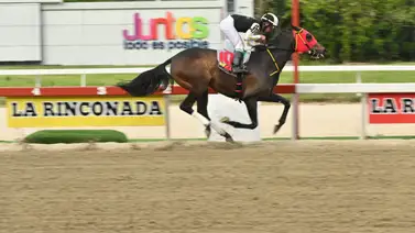 Se presenta un retirado para el ciclo de la no válida en la reunión número 6 Se presenta un retirado para el ciclo de la no válida en la reunión número 6