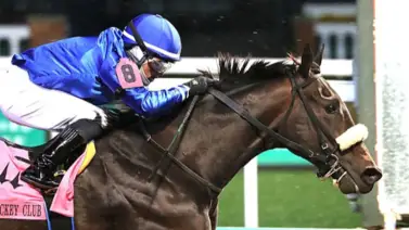 El poderoso hijo de Uncle Mo regresa este fin de semana para los puntos al Kentucky El poderoso hijo de Uncle Mo regresa este fin de semana para los puntos al Kentucky