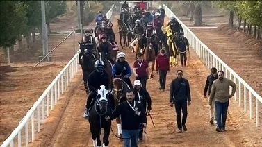 Esto dice José Francisco D’Angelo de su caballo que correrá en la jornada de la Saudí Cup