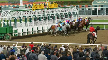 Debuta hijo de Uncle Mo y nieto de Bernardini que costó 500,000 dólares Debuta hijo de Uncle Mo y nieto de Bernardini que costó 500,000 dólares