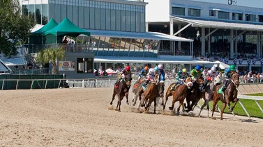 Tres jockeys venezolanos ganan la tarde de este miércoles en Tampa Bay Downs