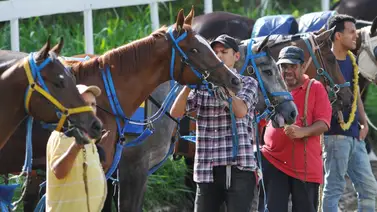 Debutante realiza el mejor ajuste del miércoles en La Rinconada y queda listo para el domingo Debutante realiza el mejor ajuste del miércoles en La Rinconada y queda listo para el domingo