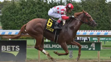 My Magic Wand busca sumar su cuarta victoria al hilo en un Stakes de $125.000 My Magic Wand busca sumar su cuarta victoria al hilo en un Stakes de $125.000