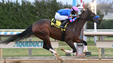 Patricia Ann a defender los colores del Blue Devil Racing en Nueva York Patricia Ann a defender los colores del Blue Devil Racing en Nueva York
