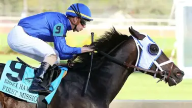 First Vision múltiple ganador en pruebas de grado debuta esta temporada por 500 mil dólares First Vision múltiple ganador en pruebas de grado debuta esta temporada por 500 mil dólares