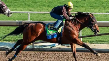 Potro que costó $3,2 millones de Baffert se alista para próximas selectivas en Santa Anita Potro que costó $3,2 millones de Baffert se alista para próximas selectivas en Santa Anita