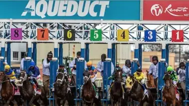 Aquí está el Best Best y los Picks para la jornada en Aqueduct 21-2-2025 Aquí está el Best Best y los Picks para la jornada en Aqueduct 21-2-2025