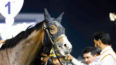 Queen Azteca en sensacional atropellada se queda con el UAE Oaks (G3) en Meydan Queen Azteca en sensacional atropellada se queda con el UAE Oaks (G3) en Meydan
