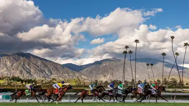 Aquí están los datos de última hora para Santa Anita Park que incluye el Best Best y los Picks para la jornada 21-2-2025 Aquí están los datos de última hora para Santa Anita Park que incluye el Best Best y los Picks para la jornada 21-2-2025