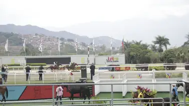 Datos de última hora para el Hipódromo Internacional La Rinconada 23-2-2025 Datos de última hora para el Hipódromo Internacional La Rinconada 23-2-2025