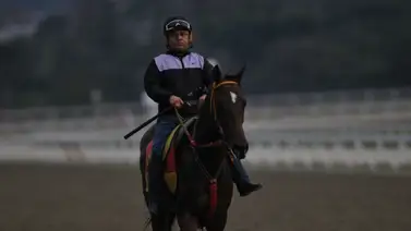 Álvaro Finol buscará ganar la carrera con este ejemplar que se entiende muy bien (+Entrevista) Álvaro Finol buscará ganar la carrera con este ejemplar que se entiende muy bien (+Entrevista)