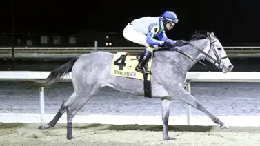 White Rock no tuvo rivales en los $175,000 del Cincinnati Trophy Stakes White Rock no tuvo rivales en los $175,000 del Cincinnati Trophy Stakes