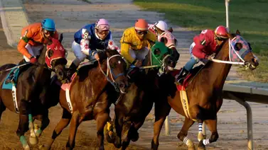 Hijo de yegua venezolana está invicto en el año y suma 17 victorias en Estados Unidos Hijo de yegua venezolana está invicto en el año y suma 17 victorias en Estados Unidos