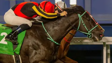 Así fue la actuación del caballo montado por Jaramillo y entrenado por Kikito en Arabia Saudita Así fue la actuación del caballo montado por Jaramillo y entrenado por Kikito en Arabia Saudita