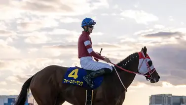 Esta fue la cantidad de millones que se llevó Forever Young tras ganar la carrera más rica del mundo Esta fue la cantidad de millones que se llevó Forever Young tras ganar la carrera más rica del mundo