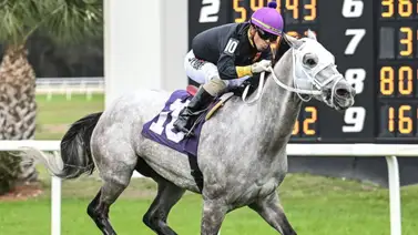 Samy Camacho metió un batacazo de 20 a 1 en un stakes de $125.000 en Tampa Bay Samy Camacho metió un batacazo de 20 a 1 en un stakes de $125.000 en Tampa Bay