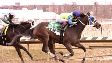 Entérate cómo José Gregorio Torrealba se alza con stakes de 100 mil dólares Entérate cómo José Gregorio Torrealba se alza con stakes de 100 mil dólares