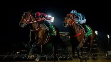 Mira lo que dijo el jinete de Romantic Warrior después de la Saudi Cup Mira lo que dijo el jinete de Romantic Warrior después de la Saudi Cup