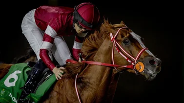 Conoce la increíble cantidad de dinero que ganó el jockey de Forever Young