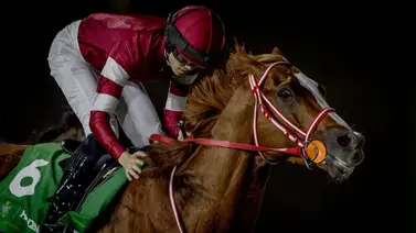 Conoce la increíble cantidad de dinero que ganó el jockey de Forever Young Conoce la increíble cantidad de dinero que ganó el jockey de Forever Young