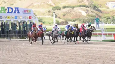 Ingresa aquí para ver la reunión número 6 de La Rinconada por Meridiano Televisión Ingresa aquí para ver la reunión número 6 de La Rinconada por Meridiano Televisión