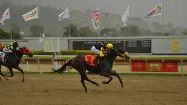 Jockey ganador de meeting regresó de Estados Unidos y estuvo ayer de visita en La Rinconada Jockey ganador de meeting regresó de Estados Unidos y estuvo ayer de visita en La Rinconada