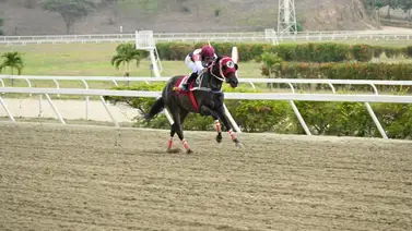 Entrenador presenta denuncia contra jinete por la actuación de un gran favorito que fracasó en la R06 en La Rinconada Entrenador presenta denuncia contra jinete por la actuación de un gran favorito que fracasó en la R06 en La Rinconada