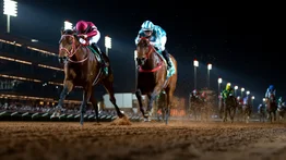 Purasangre japonés supera a Arrogate como el ejemplar que más dinero ha hecho en Estados Unidos