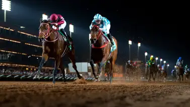 Purasangre japonés supera a Arrogate como el ejemplar que más dinero ha hecho en Estados Unidos Purasangre japonés supera a Arrogate como el ejemplar que más dinero ha hecho en Estados Unidos