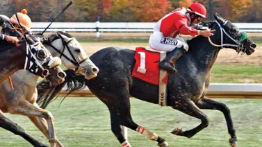 Por estos motivos no habrá carreras hoy y mañana en este hipódromo en Estados Unidos Por estos motivos no habrá carreras hoy y mañana en este hipódromo en Estados Unidos