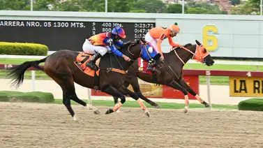 La Rinconada en la reunión seis trae consigo un par de multas a jinetes por violaciones normativas La Rinconada en la reunión seis trae consigo un par de multas a jinetes por violaciones normativas