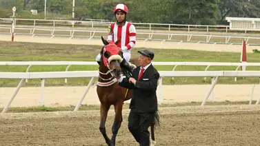 Robert Capriles con total protagonismo en el primer meeting de jinetes en La Rinconada Robert Capriles con total protagonismo en el primer meeting de jinetes en La Rinconada