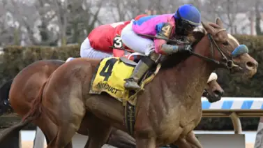 Bernietakescharge un longshot de 17 a 1 se queda con los $150.000 en el Heavenly Prize de Nueva York Bernietakescharge un longshot de 17 a 1 se queda con los $150.000 en el Heavenly Prize de Nueva York