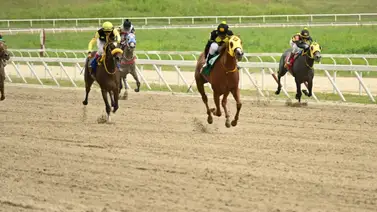 Jinete aprendiz fue suspendido en La Rinconada por esta razón Jinete aprendiz fue suspendido en La Rinconada por esta razón