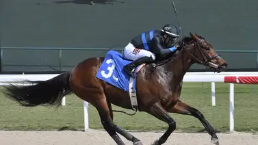 Junior Alvarado arrasa el fin de semana en Gulfstream Park Junior Alvarado arrasa el fin de semana en Gulfstream Park