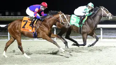 California Burrito se quedó con los puntos para el Kentucky Derby California Burrito se quedó con los puntos para el Kentucky Derby