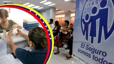 IVSS asistencia medica
