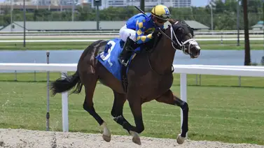 Kentucky winner sobresale el fin de semana en Tampa Bay Downs Kentucky winner sobresale el fin de semana en Tampa Bay Downs