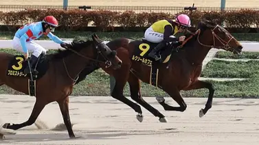 Hijo de American Pharoah se adjudica el Hyacinth Stakes en Japón en Ruta al Kentucky Derby Hijo de American Pharoah se adjudica el Hyacinth Stakes en Japón en Ruta al Kentucky Derby