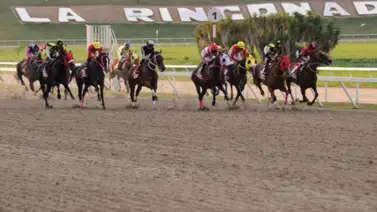 La reunión 07 en La Rinconada ofrece más de $169.000 en premios a los ganadores de 10 carreras La reunión 07 en La Rinconada ofrece más de $169.000 en premios a los ganadores de 10 carreras