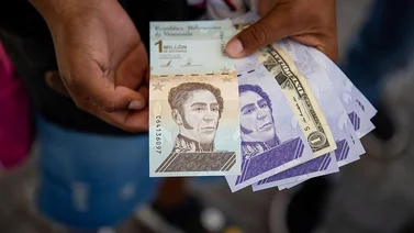 Sistema Patria: Depositan bono "Misión Robert Serra" por este monto 