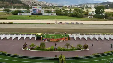 La Rinconada se prepara para el debut de veinte ejemplares en la séptima reunión de este domingo La Rinconada se prepara para el debut de veinte ejemplares en la séptima reunión de este domingo