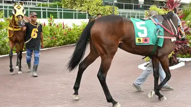 Hermano completo de El De Froix hace su debut este domingo en La Rinconada Hermano completo de El De Froix hace su debut este domingo en La Rinconada