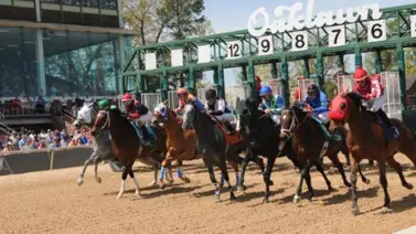 “Pancho” Arrieta se queda con Stakes de 150.000 dólares en Oakland Park “Pancho” Arrieta se queda con Stakes de 150.000 dólares en Oakland Park