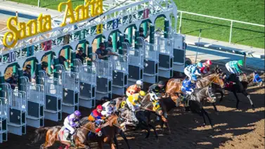 Nieto de American Pharoah que costó $3.2 millones va por los puntos al Kentucky Derby Nieto de American Pharoah que costó $3.2 millones va por los puntos al Kentucky Derby