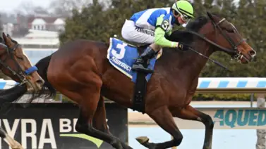 Landed se afianza en la tabla tras lograr victoria en el Broadway por 125.000 dólares Landed se afianza en la tabla tras lograr victoria en el Broadway por 125.000 dólares