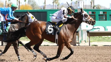 Karlo López llega a esta cifra redonda de victorias en el meeting de Turf Paradise