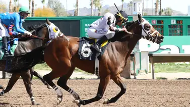 Karlo López llega a esta cifra redonda de victorias en el meeting de Turf Paradise Karlo López llega a esta cifra redonda de victorias en el meeting de Turf Paradise